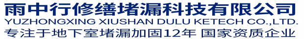广西雨中行堵漏工程有限公司